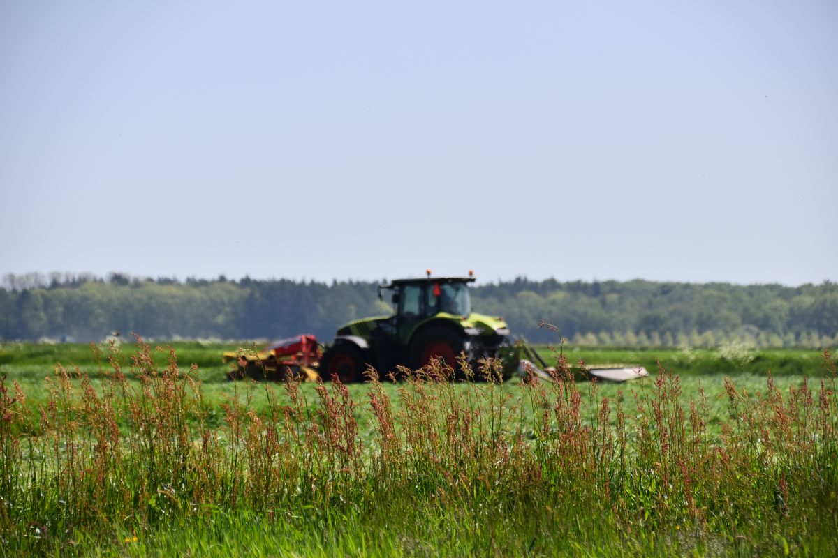 Tractor op het platteland, Trekker, Tractor, Landbouw